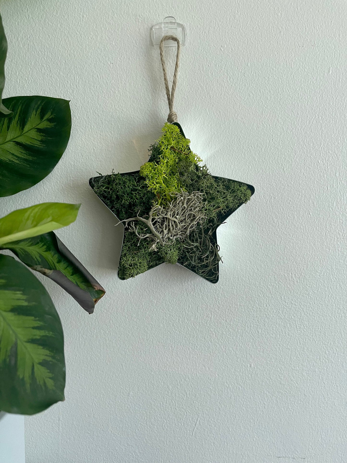 Star Moss  | Wall Art  |  Home  Decor  | Metal Star  | Green