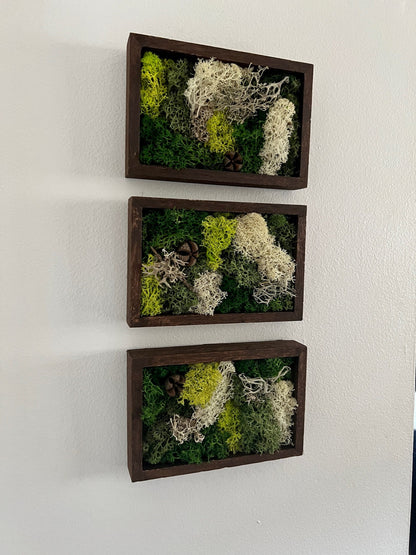 Moss Wall Art | Preserved Moss Art Framed | Rectangle  | Green and Beige