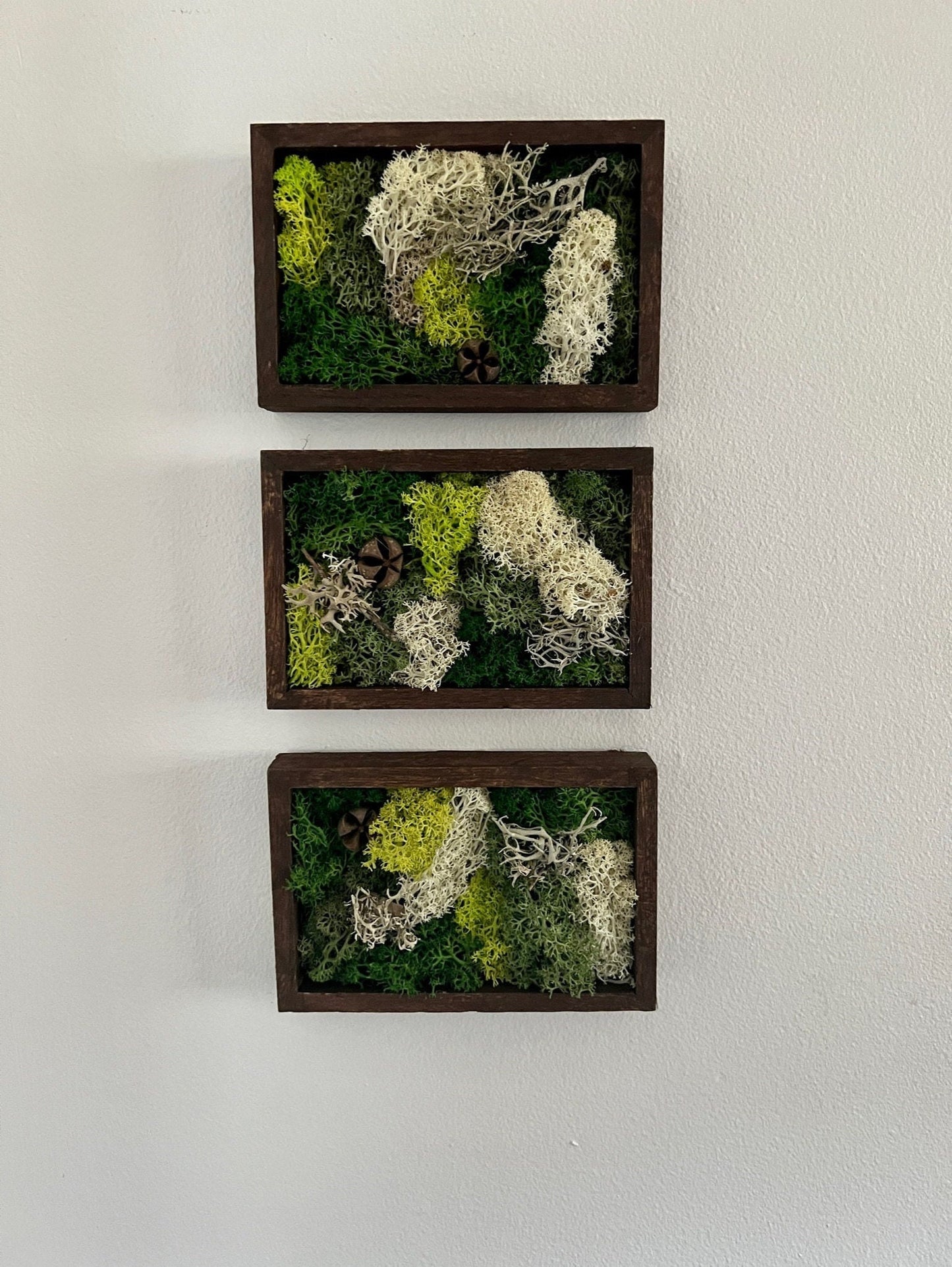 Moss Wall Art | Preserved Moss Art Framed | Rectangle  | Green and Beige