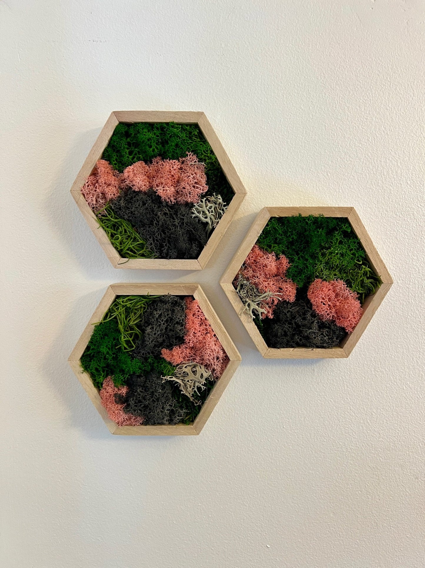 Moss Wall Art  | Honeycomb Moss   |  Home  Decor  | 5" by 6" Wood Hexagon  | Pink Green and Black