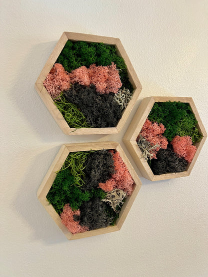 Moss Wall Art  | Honeycomb Moss   |  Home  Decor  | 5" by 6" Wood Hexagon  | Pink Green and Black