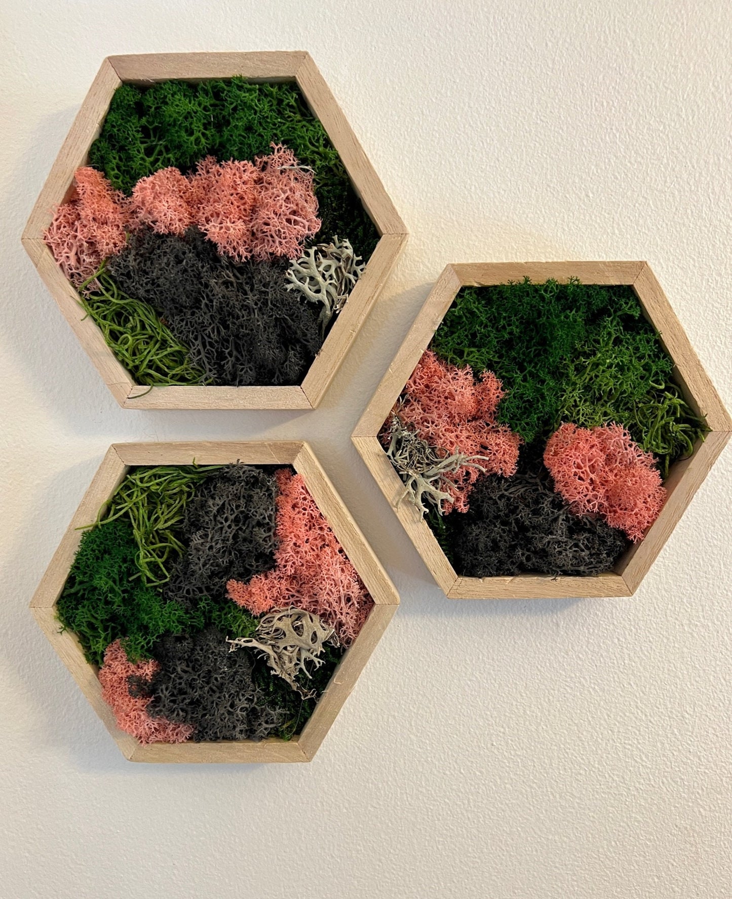 Moss Wall Art  | Honeycomb Moss   |  Home  Decor  | 5" by 6" Wood Hexagon  | Pink Green and Black