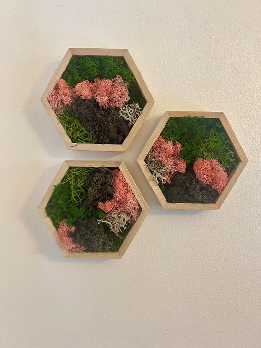 Moss Wall Art  | Honeycomb Moss   |  Home  Decor  | 5" by 6" Wood Hexagon  | Pink Green and Black