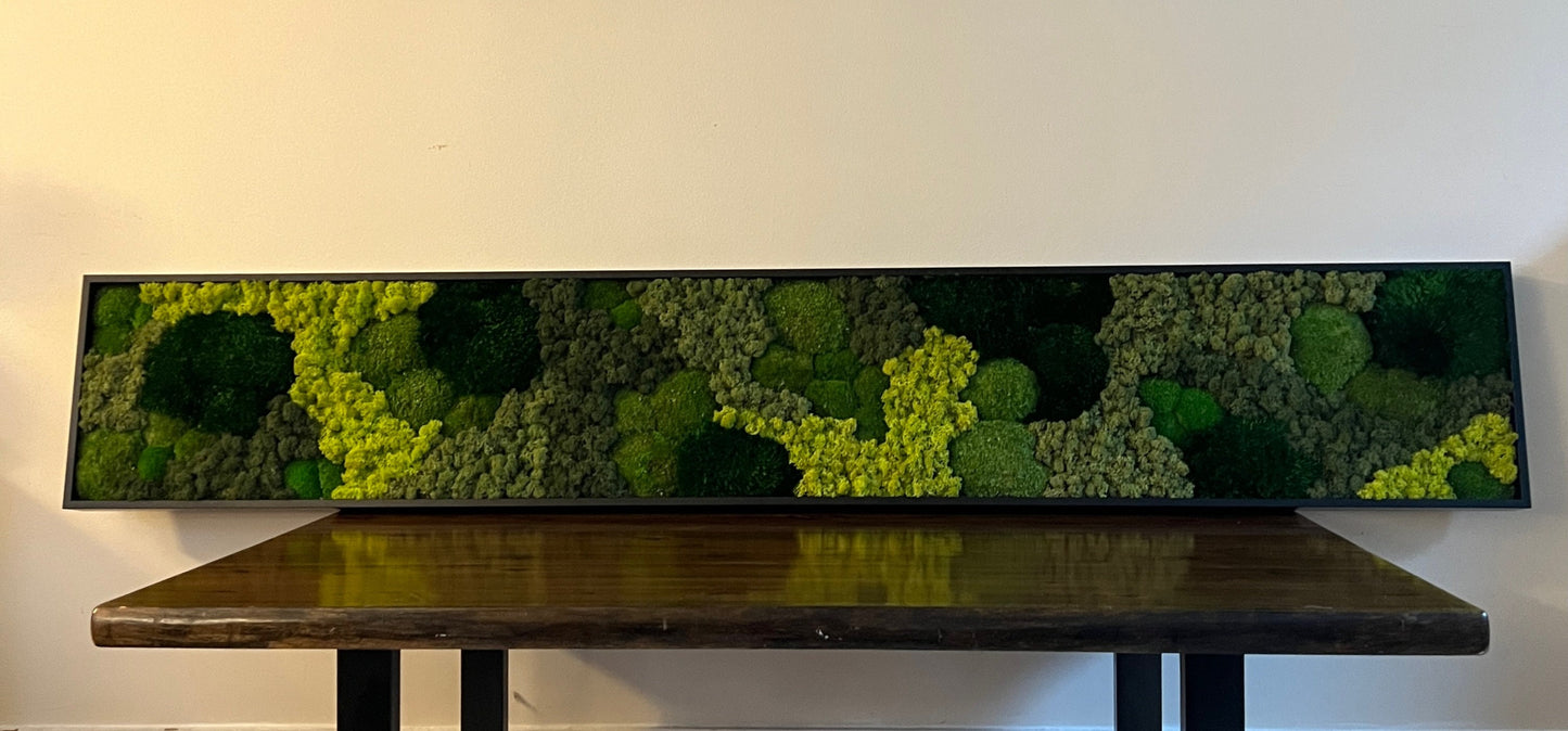 Moss Wall Art | Custom Framed | Large Moss Wall Decor | Pole, Sheet, Mood & Reindeer Moss | Only Available for delivery - TORONTO AND GTA