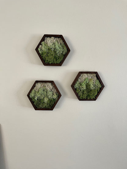 Moss Wall Art | Honeycomb Moss Single to Set of Twelve | Wood Hexagon  | Green Mountains and Clouds | Nature Wall Art