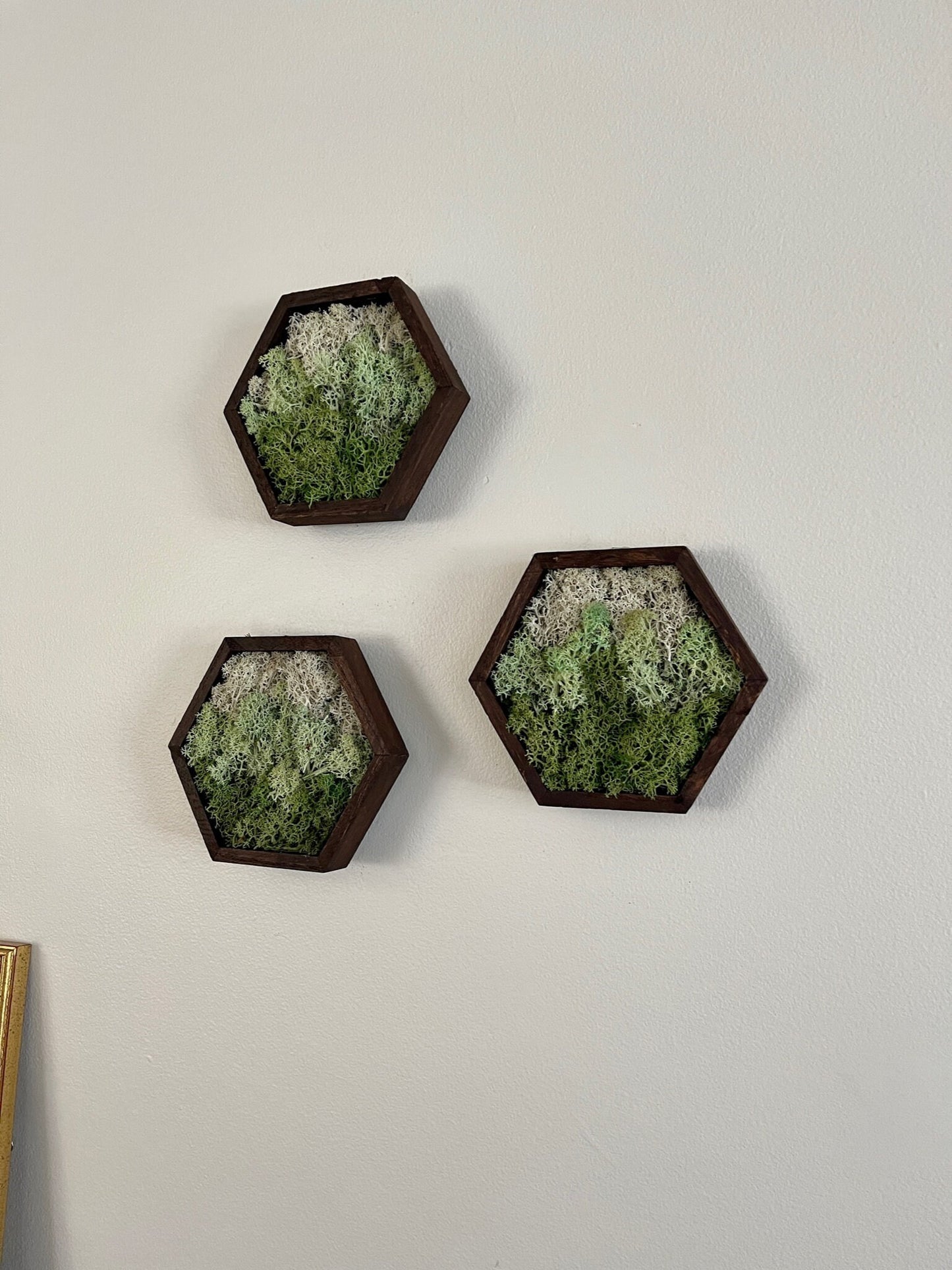 Moss Wall Art | Honeycomb Moss Single to Set of Twelve | Wood Hexagon  | Green Mountains and Clouds | Nature Wall Art