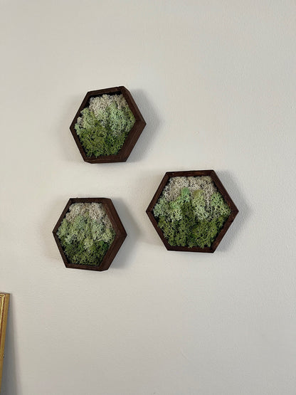 Moss Wall Art | Honeycomb Moss Single to Set of Twelve | Wood Hexagon  | Green Mountains and Clouds | Nature Wall Art