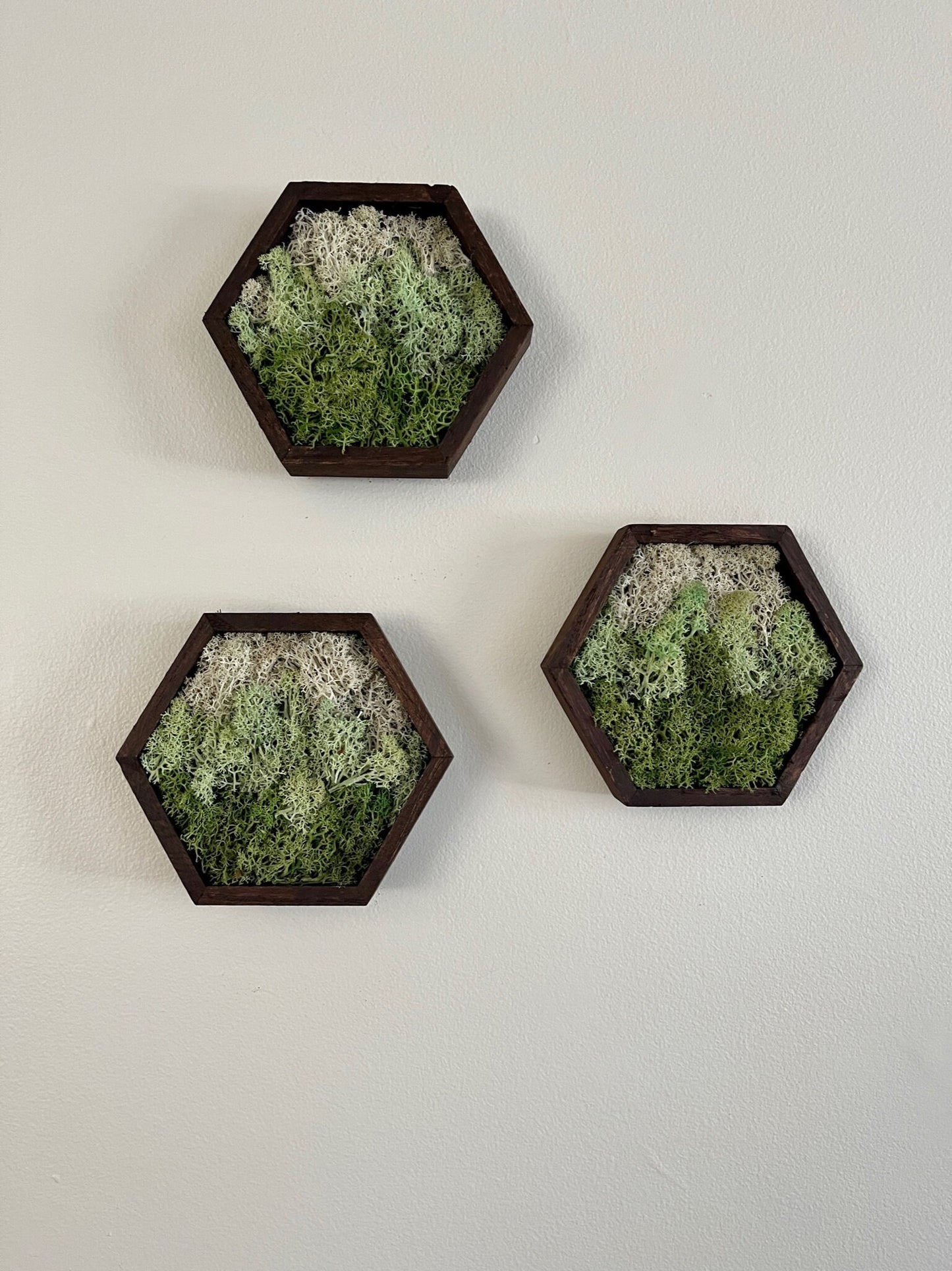 Moss Wall Art | Honeycomb Moss Single to Set of Twelve | Wood Hexagon  | Green Mountains and Clouds | Nature Wall Art