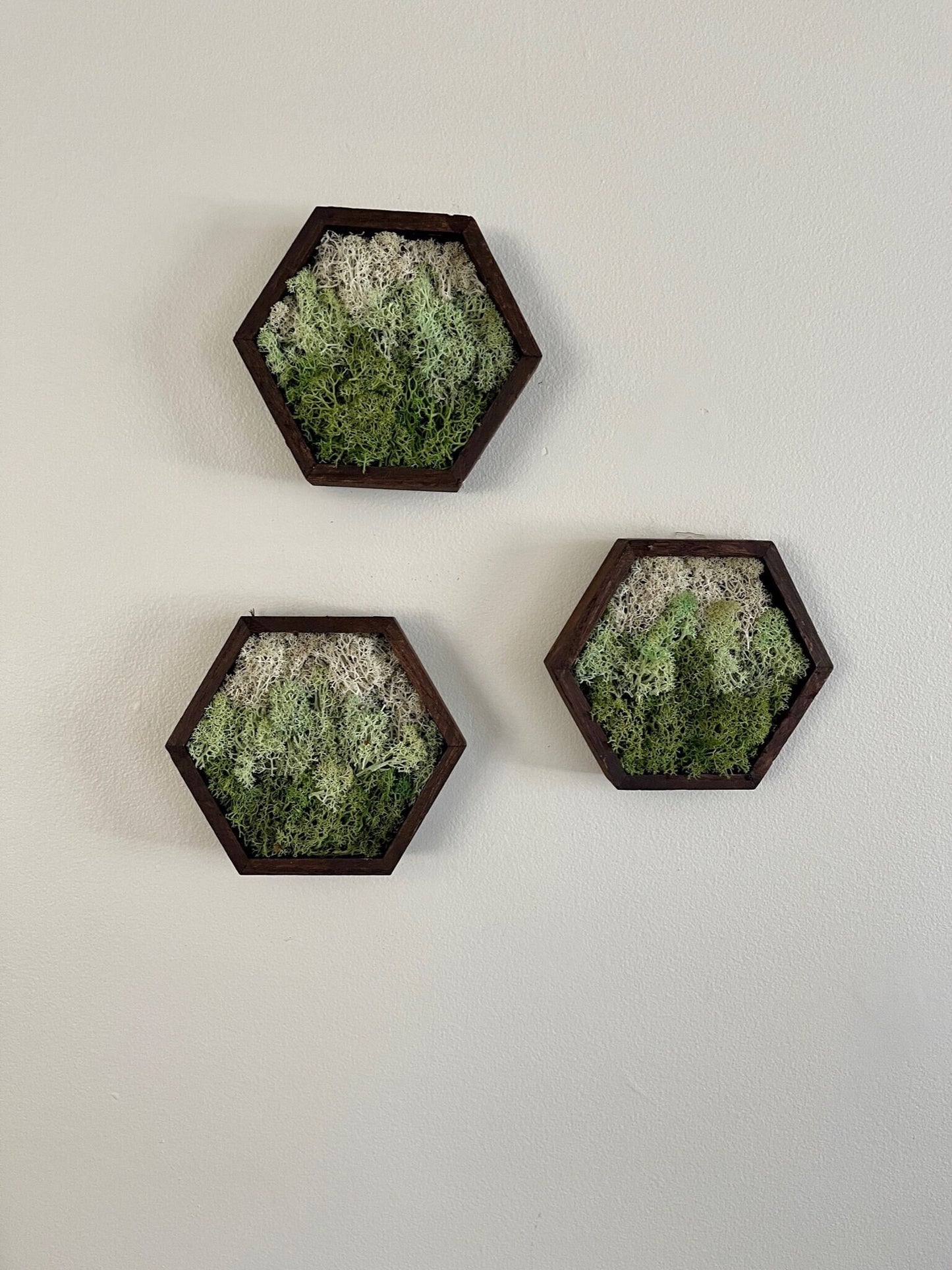 Moss Wall Art | Honeycomb Moss Single to Set of Twelve | Wood Hexagon  | Green Mountains and Clouds | Nature Wall Art