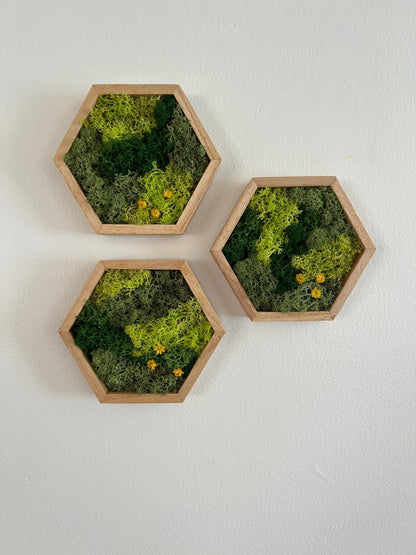 Moss Wall Art | Preserved Moss Wall Decor | Honeycomb Moss Art | Set of One to Twelve | Wood Hexagon | Green Moss and Preserved Flowers