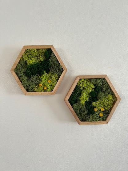 Moss Wall Art | Preserved Moss Wall Decor | Honeycomb Moss Art | Set of One to Twelve | Wood Hexagon | Green Moss and Preserved Flowers