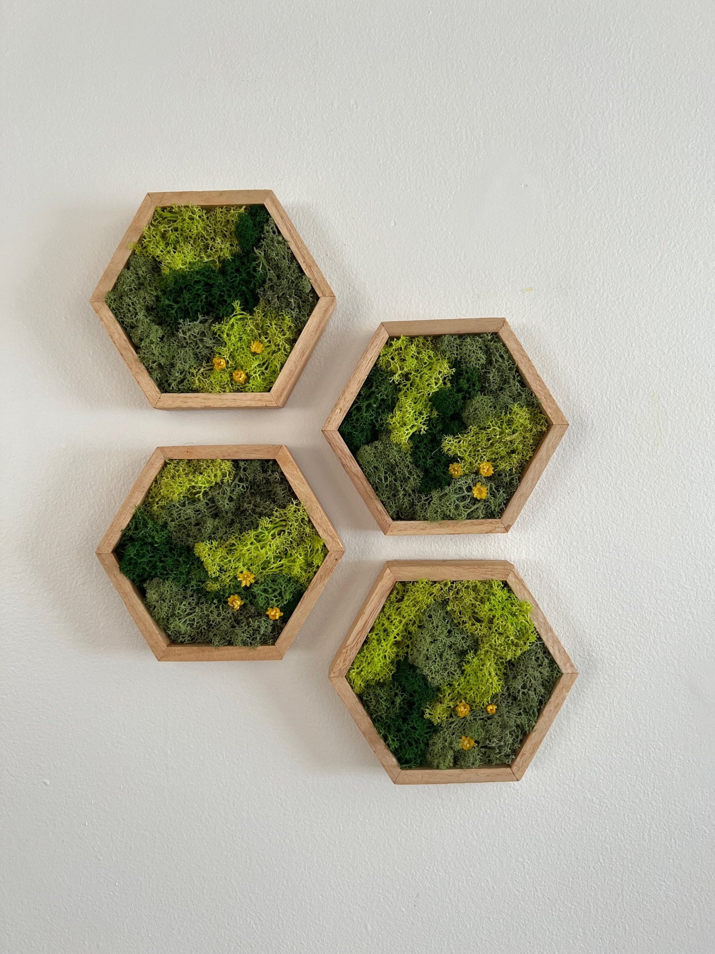 Moss Wall Art | Preserved Moss Wall Decor | Honeycomb Moss Art | Set of One to Twelve | Wood Hexagon | Green Moss and Preserved Flowers