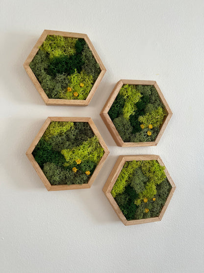 Moss Wall Art | Preserved Moss Wall Decor | Honeycomb Moss Art | Set of One to Twelve | Wood Hexagon | Green Moss and Preserved Flowers