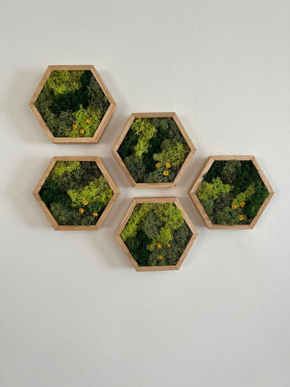 Moss Wall Art | Preserved Moss Wall Decor | Honeycomb Moss Art | Set of One to Twelve | Wood Hexagon | Green Moss and Preserved Flowers