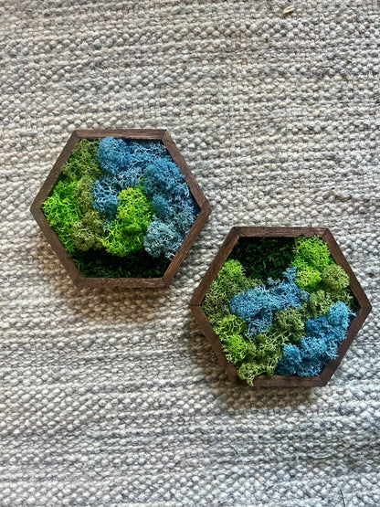 Moss Wall Art  | Honeycomb Moss Single to Set of Twelve  |  Home  Decor  | Wood Hexagon  | Green Grass, Mint, Teal and Beige