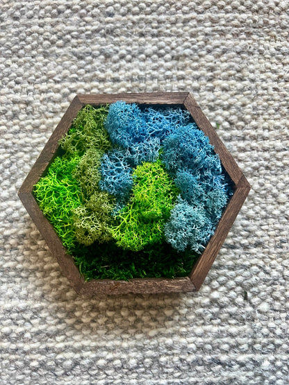 Moss Wall Art  | Honeycomb Moss Single to Set of Twelve  |  Home  Decor  | Wood Hexagon  | Green Grass, Mint, Teal and Beige