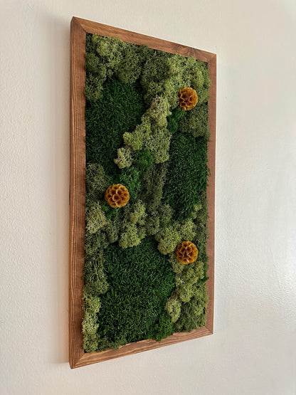 Moss Wall Art | Preserved Moss Art Framed | Moss Wall Decor | Moss Wall Sets | Rectangle Single to Set of Six || Reindeer and Sheet Moss