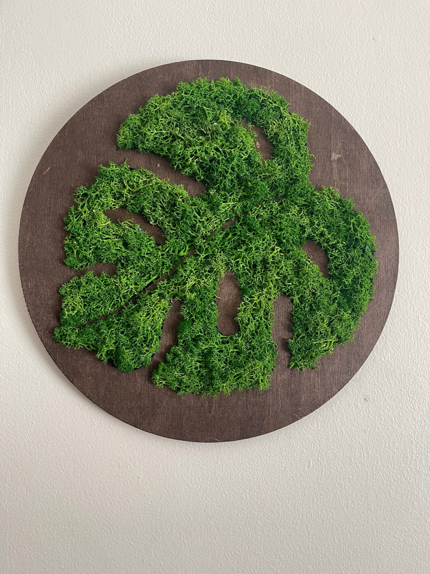 Moss Wall Art | Monstera Plant Round Wood Frame | Dark Green Reindeer Moss | Wedding Gift