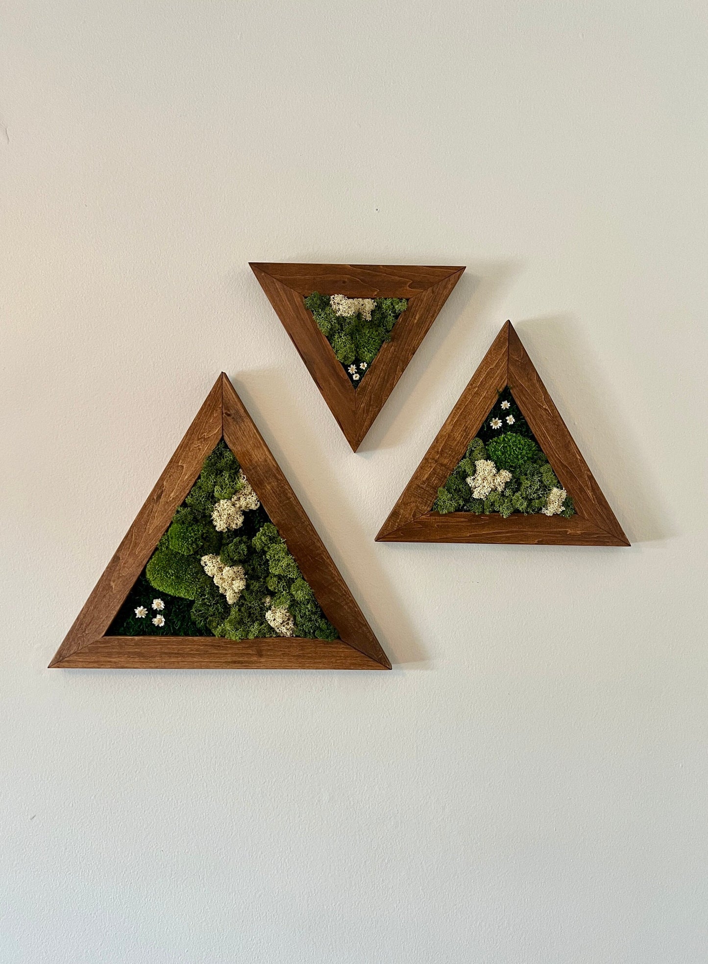 Moss Wall Art | Moss Wall Decor | Set of Three Triangle Wood Frames | Green Reindeer Moss Pole Moss Sheet Moss | Gift