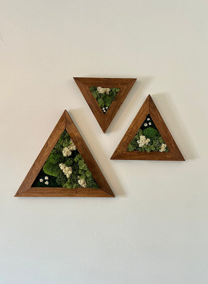 Moss Wall Art | Moss Wall Decor | Set of Three Triangle Wood Frames | Green Reindeer Moss Pole Moss Sheet Moss | Gift