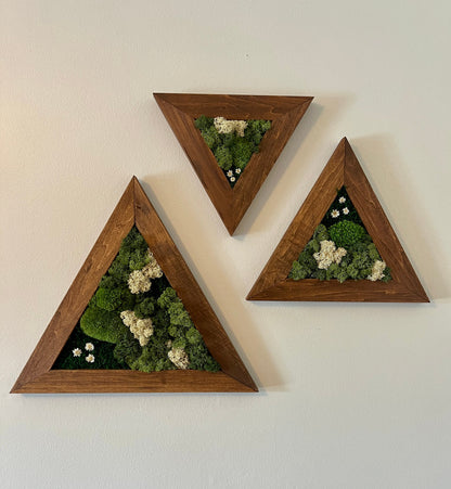 Moss Wall Art | Moss Wall Decor | Set of Three Triangle Wood Frames | Green Reindeer Moss Pole Moss Sheet Moss | Gift