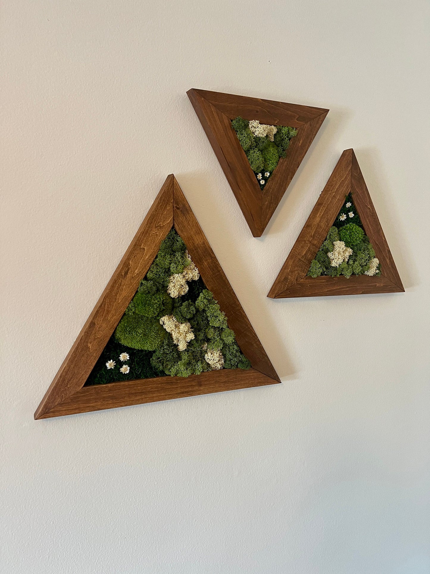 Moss Wall Art | Moss Wall Decor | Set of Three Triangle Wood Frames | Green Reindeer Moss Pole Moss Sheet Moss | Gift