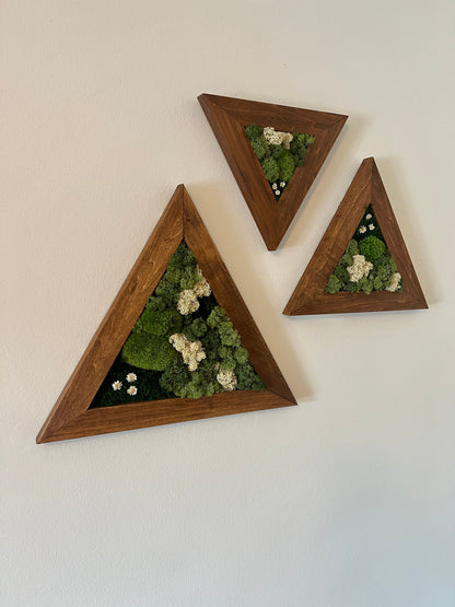 Moss Wall Art | Moss Wall Decor | Set of Three Triangle Wood Frames | Green Reindeer Moss Pole Moss Sheet Moss | Gift