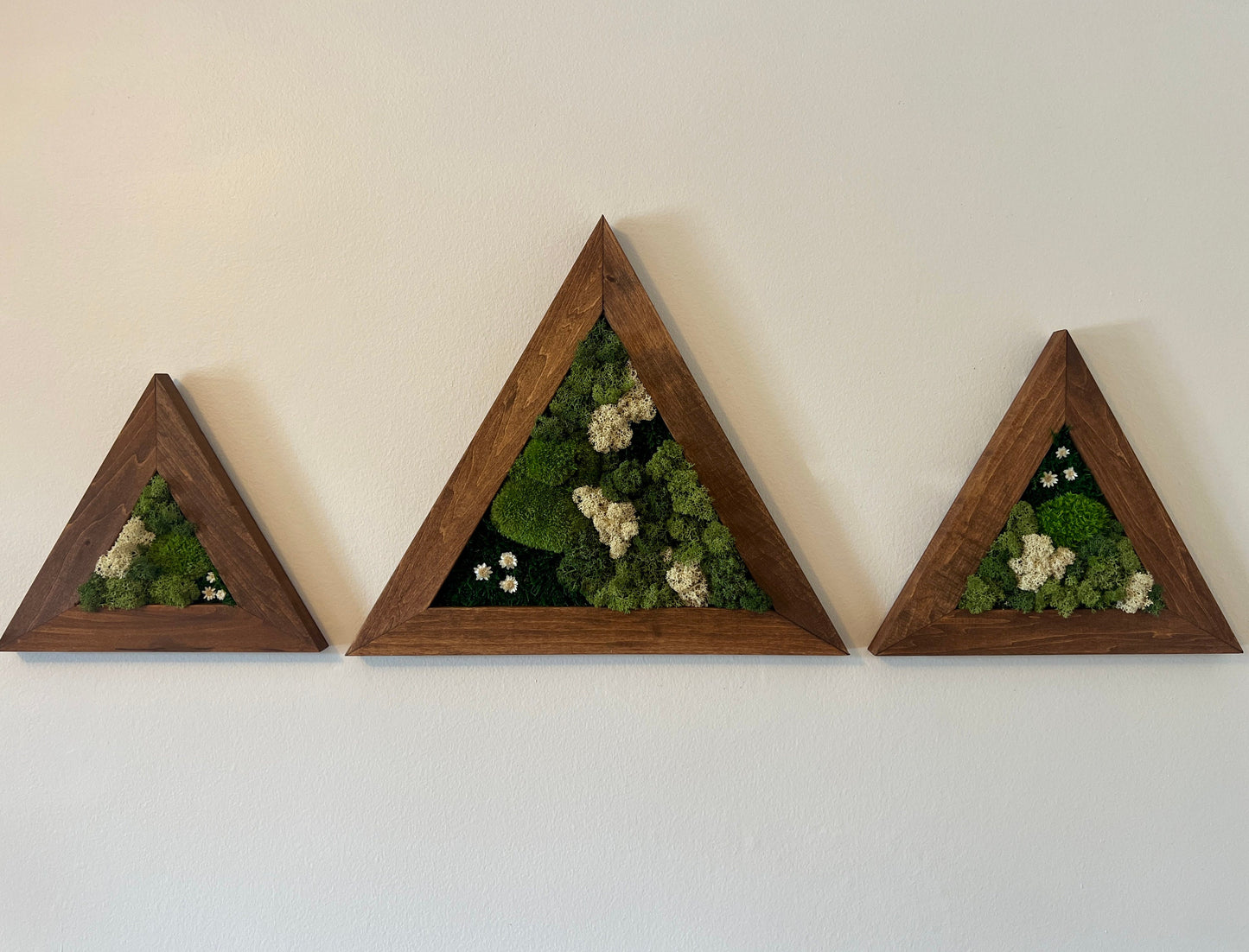 Moss Wall Art | Moss Wall Decor | Set of Three Triangle Wood Frames | Green Reindeer Moss Pole Moss Sheet Moss | Gift