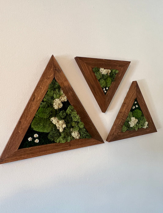 Moss Wall Art | Moss Wall Decor | Set of Three Triangle Wood Frames | Green Reindeer Moss Pole Moss Sheet Moss | Gift