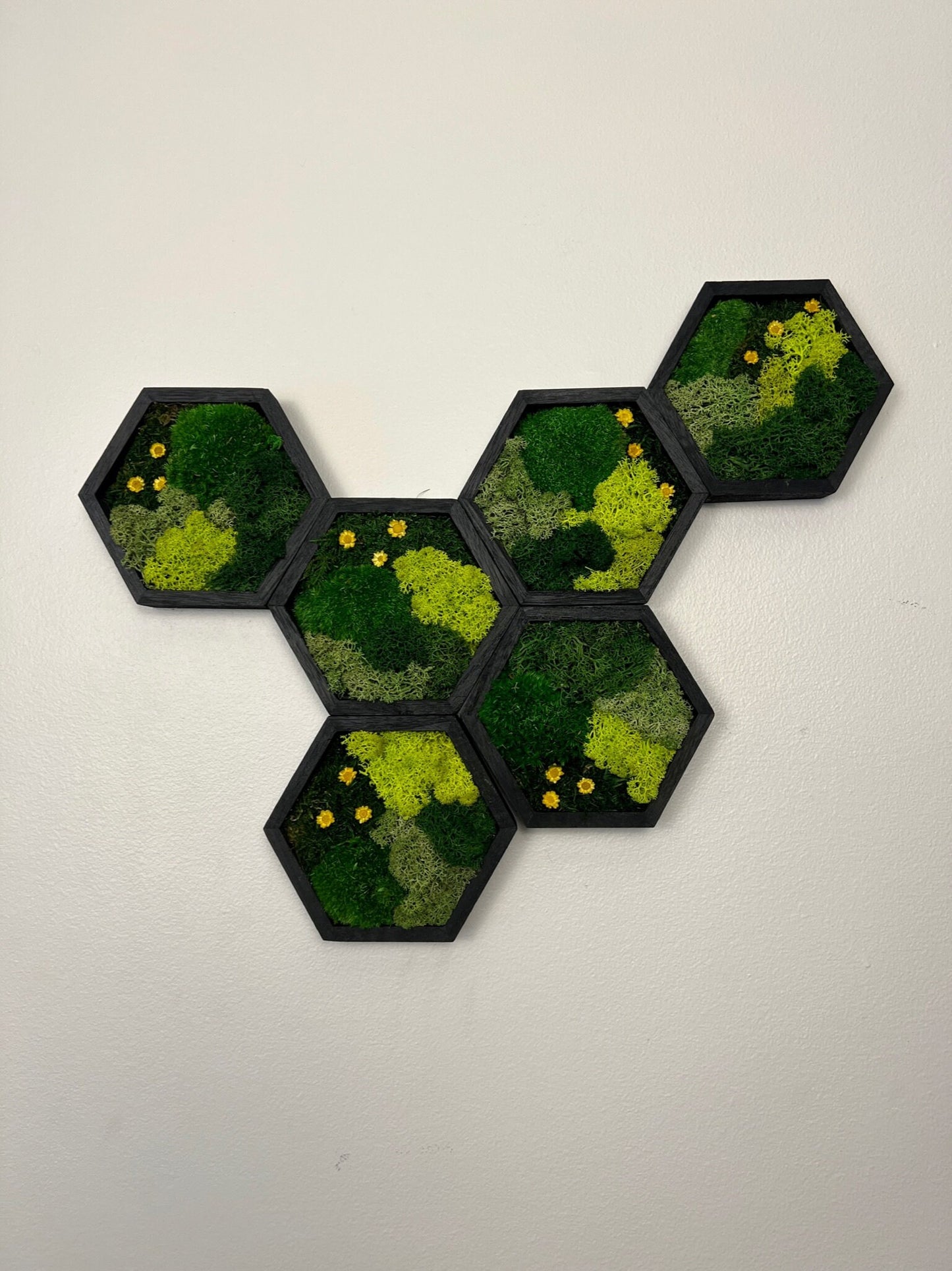 Moss Wall Art | Honeycomb Moss Single to Set of Twelve | Wood Hexagon  | Green Reindeer Moss, Pole Moss  with Yellow Preserved Flowers