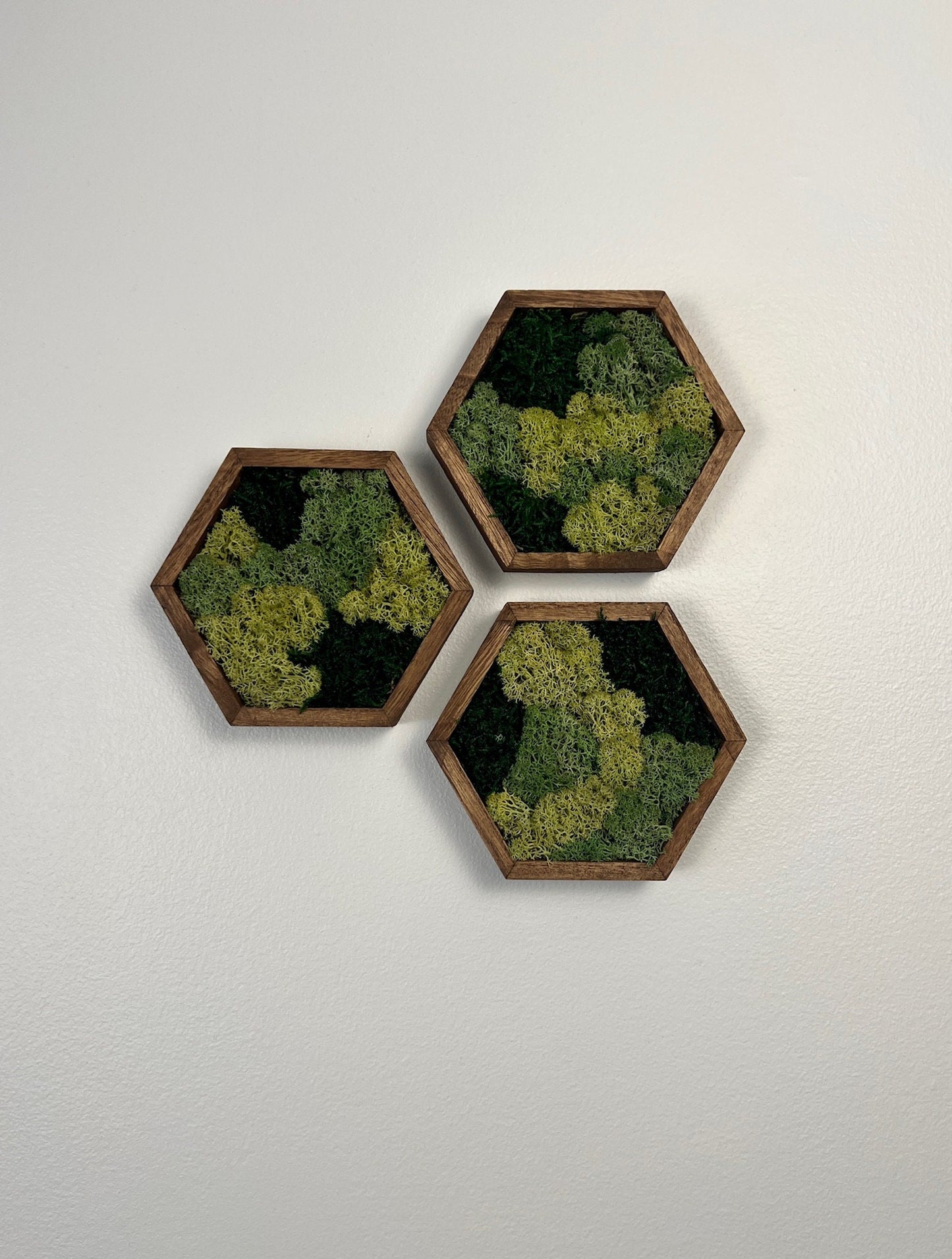 Moss Wall Art | Honeycomb Moss Decor | Single to Set of Twelve | Wood Hexagon  | Green