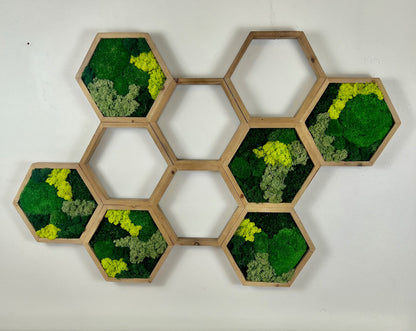 Moss Wall Art | Honeycomb Moss Attached Hexagons | Wood Hexagon  | Reindeer Moss, Sheet Moss, Pole Moss Yellow Preserved Flowers