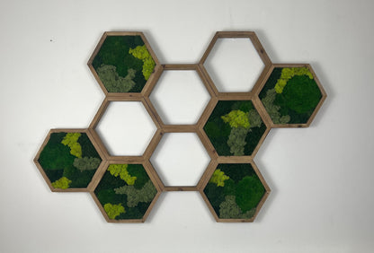 Moss Wall Art | Honeycomb Moss Attached Hexagons | Wood Hexagon  | Reindeer Moss, Sheet Moss, Pole Moss Yellow Preserved Flowers