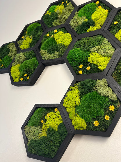 Moss Wall Art | Honeycomb Moss Single to Set of Twelve | Wood Hexagon  | Green Reindeer Moss, Pole Moss  with Yellow Preserved Flowers