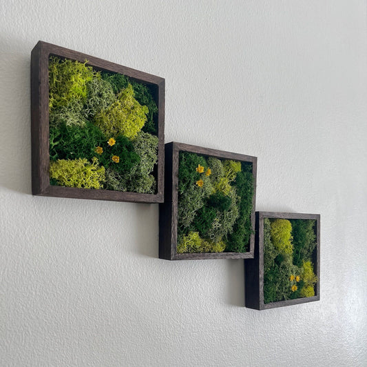 Moss Wall Art | Moss Decor | Single to Set of Twelve | Wood Square Frame  | Preserved Moss | Live Moss | Green with Preserved Flowers