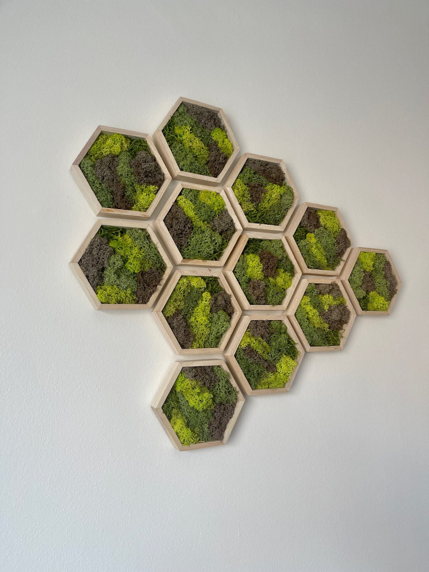 Moss Wall Art | Preserved Moss Wall Decor  | Single to Set of Twelve | Wood Hexagon  | Green and Brown Reindeer Moss | Mothers Day Gift