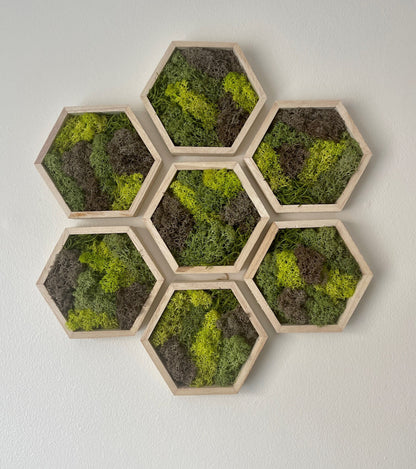 Moss Wall Art | Preserved Moss Wall Decor  | Single to Set of Twelve | Wood Hexagon  | Green and Brown Reindeer Moss | Mothers Day Gift