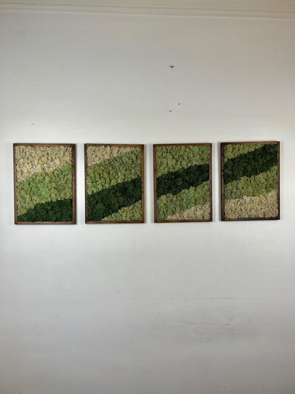 Moss Wall Art | Preserved Moss Framed | Moss Wall Decor | Moss Wall Art | Set of 1 - 4 | Rectangle Wood Frame | Dark Green, Mint and White