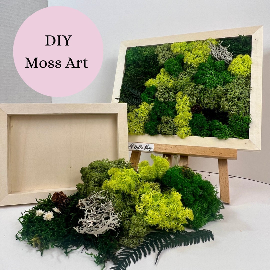 DIY Kit | Moss Wall Art | Nature Lover Gift | Preserved Moss Decor | Nature Inspired Art | Adult Craft Kit | Birthday Gift | Christmas Gift