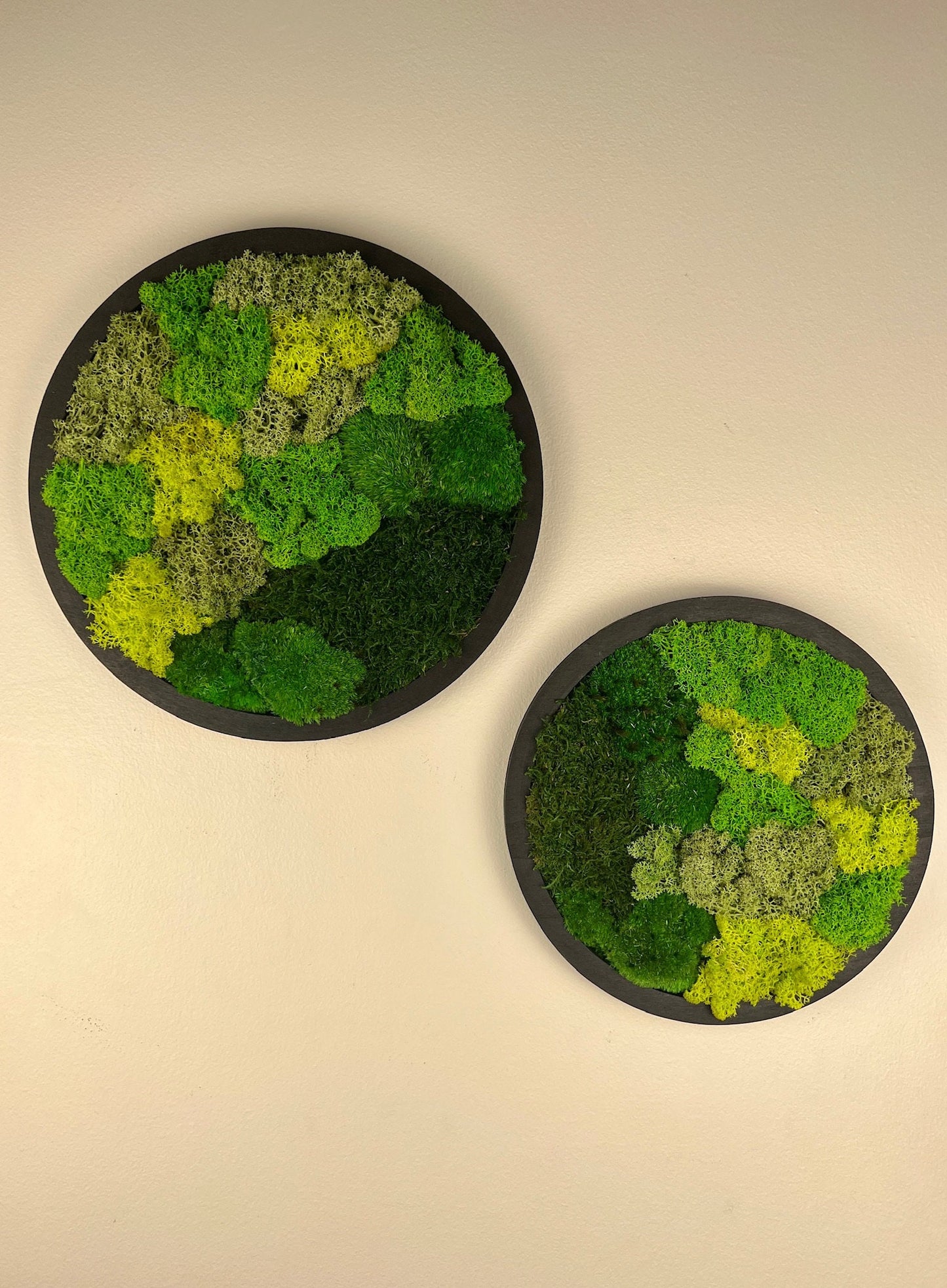 Moss Wall Art Circle Frame | Preserved Moss Art Framed | Moss Wall Decor | Single or Set of 2 | Reindeer & Sheet Moss | Mothers Day