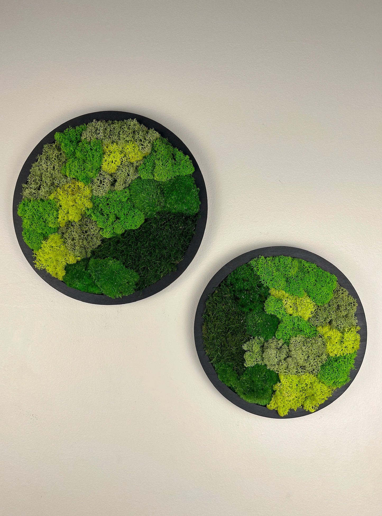 Moss Wall Art Circle Frame | Preserved Moss Art Framed | Moss Wall Decor | Single or Set of 2 | Reindeer & Sheet Moss | Mothers Day