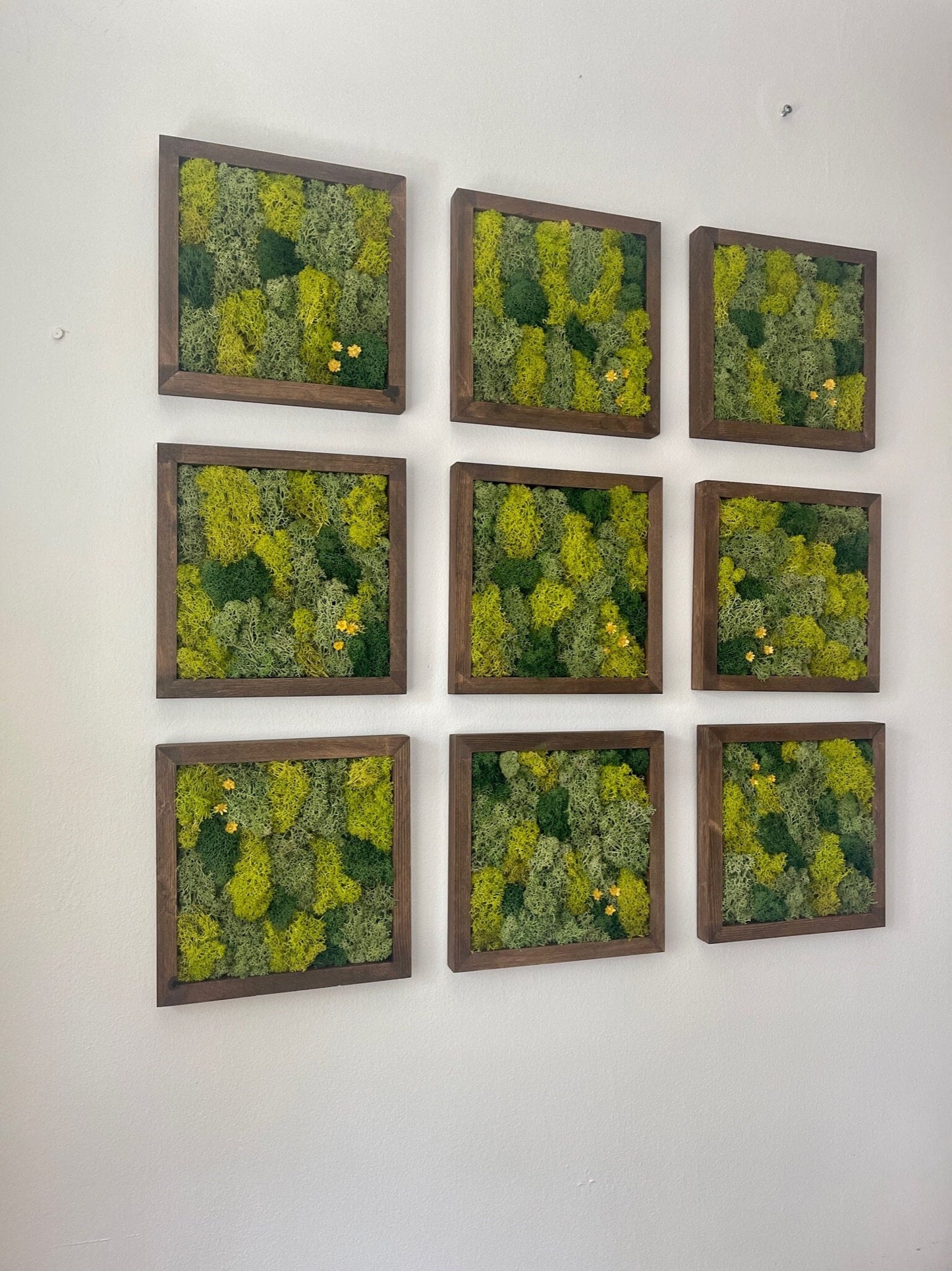 Moss Wall Art | Moss Decor | Single to Set of Nine | Wood Square Frame  | Preserved Moss | Live Moss | Green| Father's Day | 8" x 8"  Frames