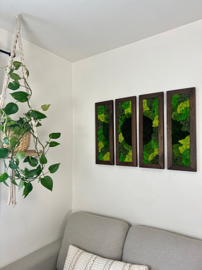 Moss Wall Art | Preserved Moss Art | Moss Wall Decor | 24” x 8” Wood Frame | Large Rectangle Single to Six Set | Reindeer Pole Sheet Moss