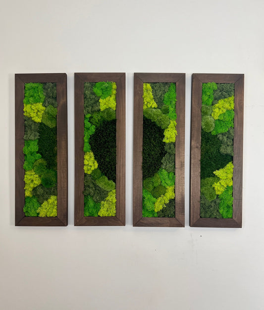 Moss Wall Art | Preserved Moss Art | Moss Wall Decor | 24” x 8” Wood Frame | Large Rectangle Single to Six Set | Reindeer Pole Sheet Moss