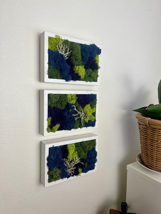 Moss Wall Art | Preserved Moss Art Framed | Moss Frame Rectangle  | Blue Purple and Green