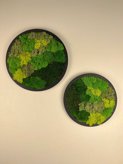 Moss Wall Art Circle Frame | Preserved Moss Art Framed | Moss Wall Decor | Single or Set of 2 | Reindeer & Sheet Moss | Mothers Day