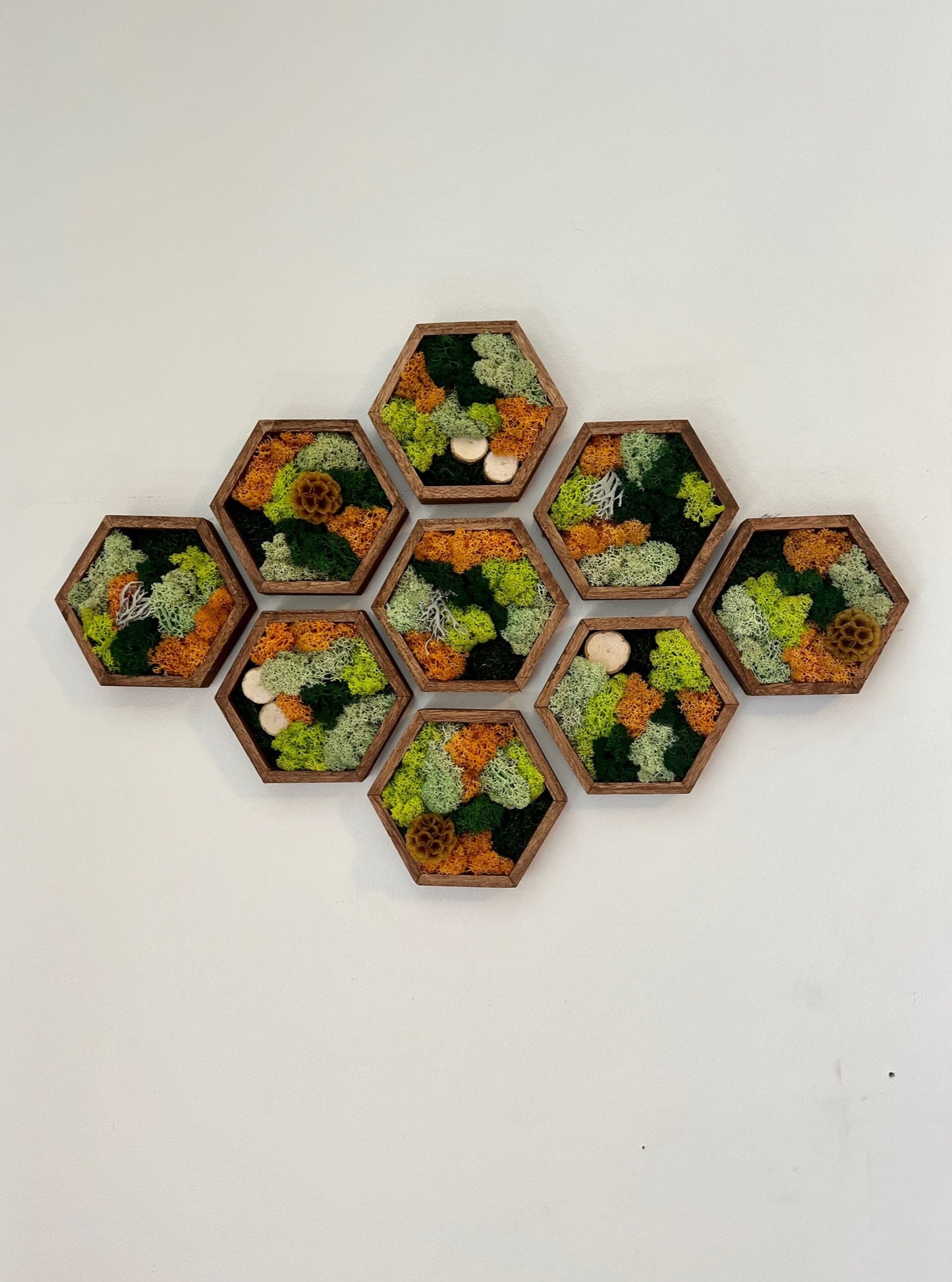 Moss Wall Art | Honeycomb Moss Single to Set of Twelve | Wood Hexagon | Reindeer & Sheet Moss | Moss Wall Art | Wood Scabiosa Bark | Unique