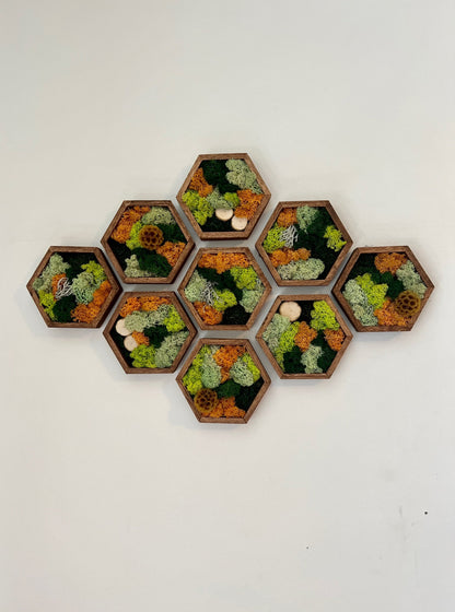 Moss Wall Art | Honeycomb Moss Single to Set of Twelve | Wood Hexagon | Reindeer & Sheet Moss | Moss Wall Art | Wood Scabiosa Bark | Unique