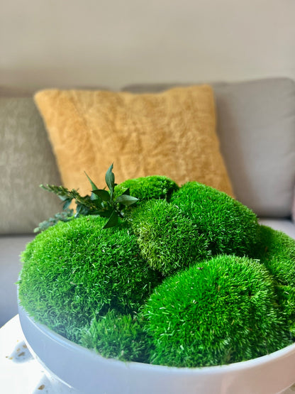 Moss Centerpiece Large | Pole Moss | Preserved Moss Gift | Ceramic Centrepiece Bowl | Green Moss | Wedding Centrepiece Decor