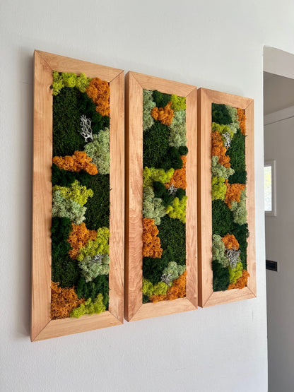 Moss Wall Art | Preserved Moss Art Framed | Moss Wall Decor | Moss Wall Sets | Large Rectangle Single to Six Set | Reindeer Moss Pole Moss